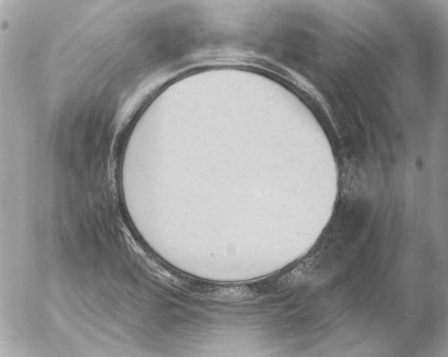 X0000052611464200507292136