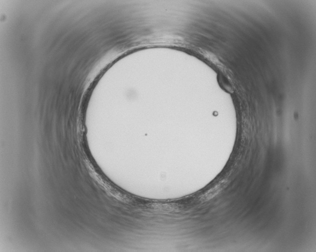 X0000052611469200507292136