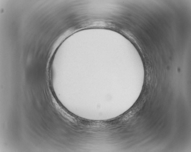 X0000052611475200507292136