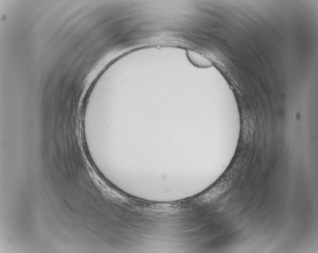 X0000052611478200507292136