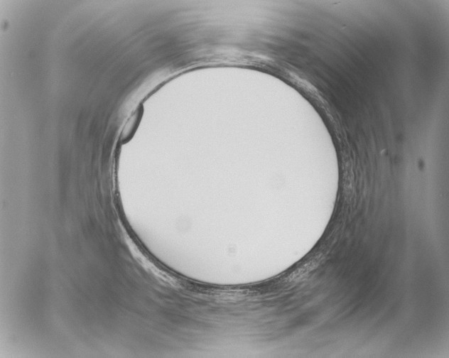 X0000052611479200507292136