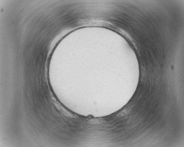 X0000052611480200507292136