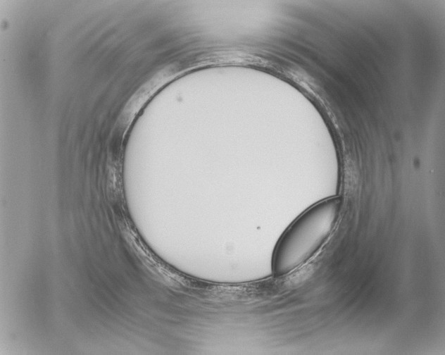 X0000052611481200507292136