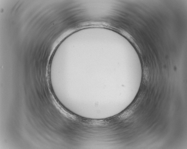 X0000052611482200507292136