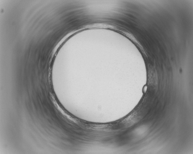 X0000052611484200507292136