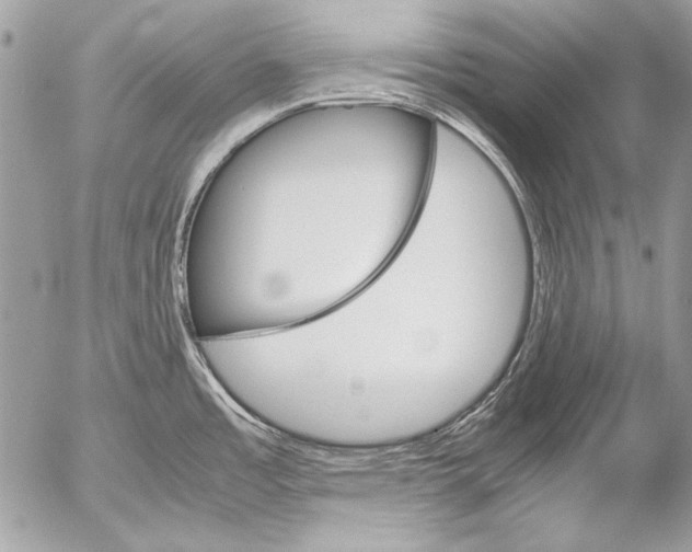 X0000052611485200507292136