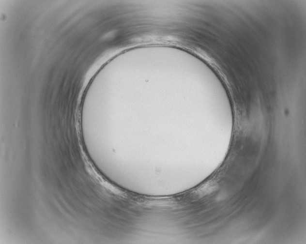 X0000052611486200507292136