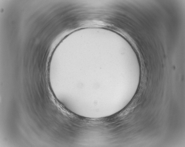 X0000052611488200507292136