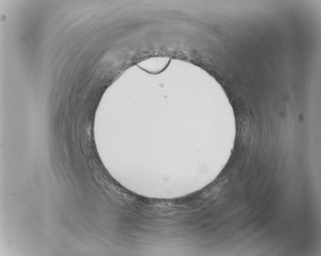 X0000052611489200507292135