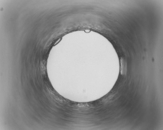 X0000052611491200507292135