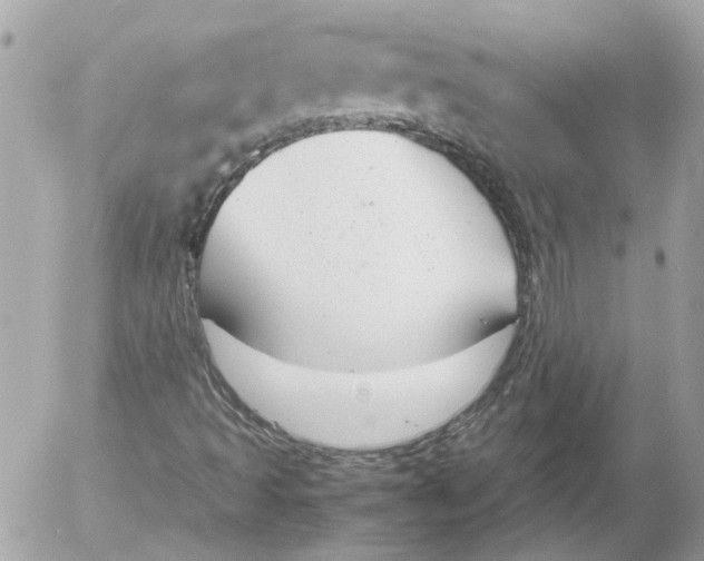 X0000052611493200507292135