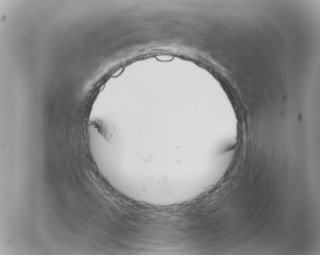 X0000052611496200507292135