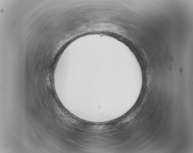 X0000052611497200507292135