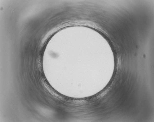 X0000052611498200507292135