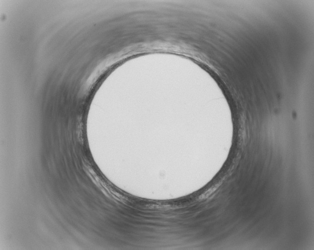 X0000052611499200507292135