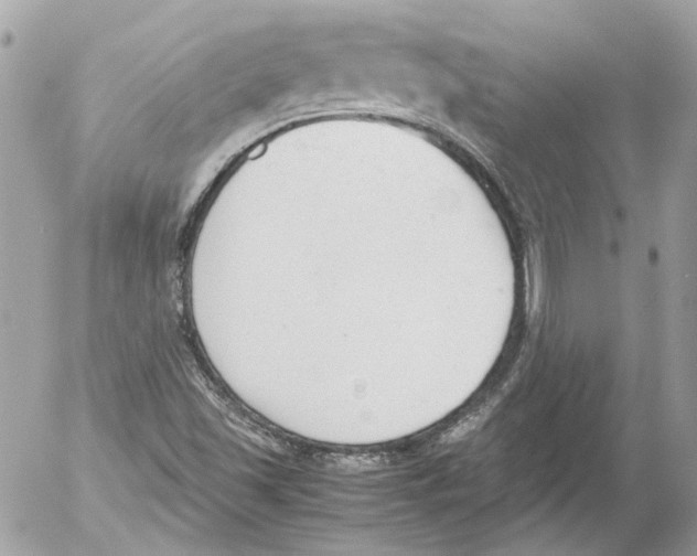 X0000052611501200507292135