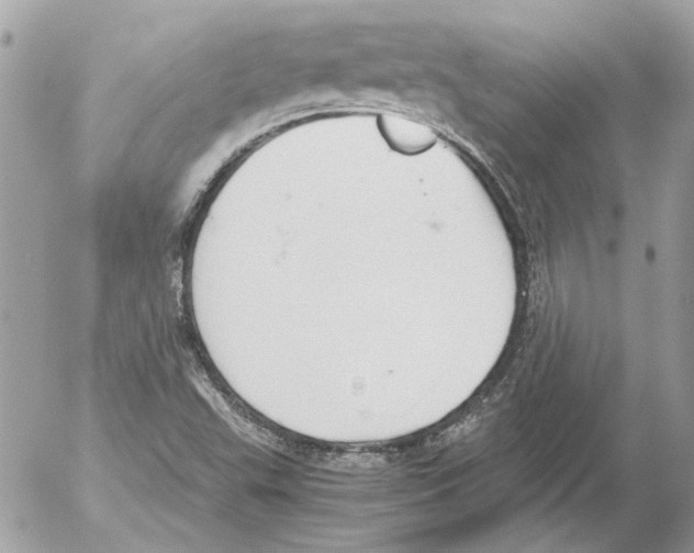 X0000052611503200507292135