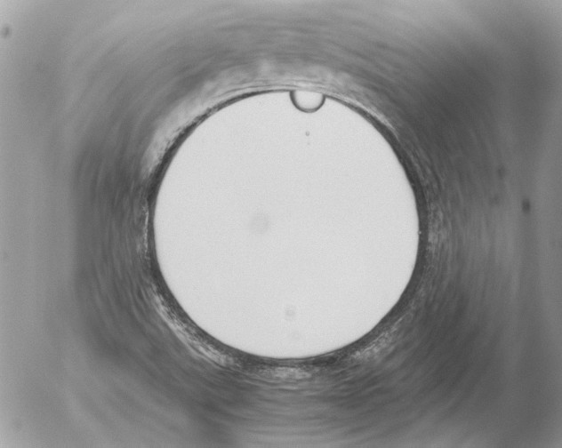 X0000052611507200507292135