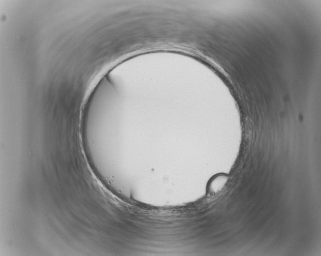 X0000052611508200507292135