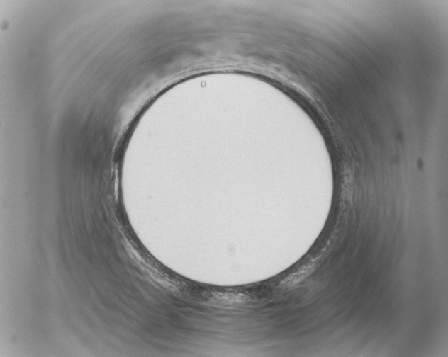 X0000052611509200507292136