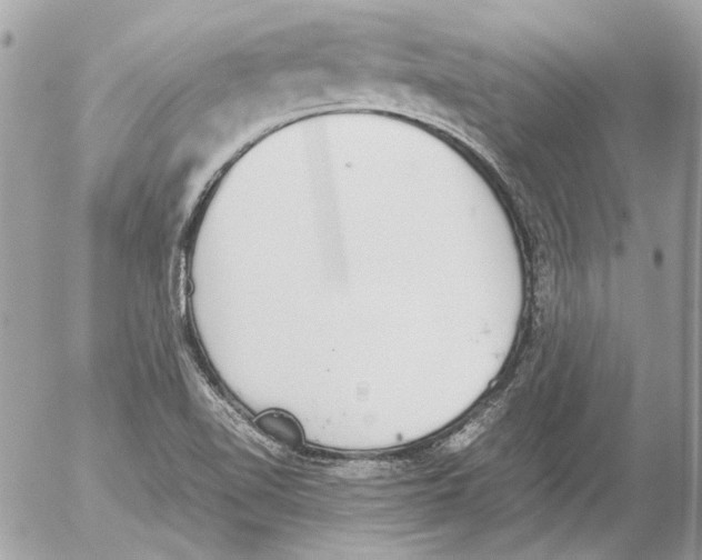 X0000052611510200507292136