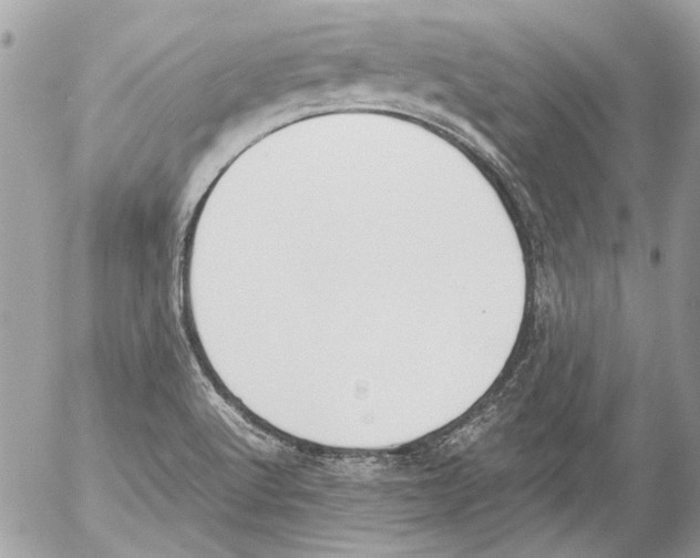 X0000052611512200507292136