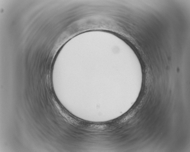 X0000052611513200507292136