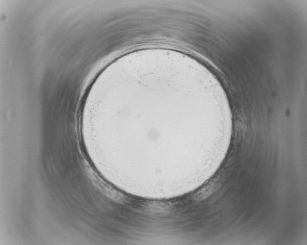 X0000052611514200507292136