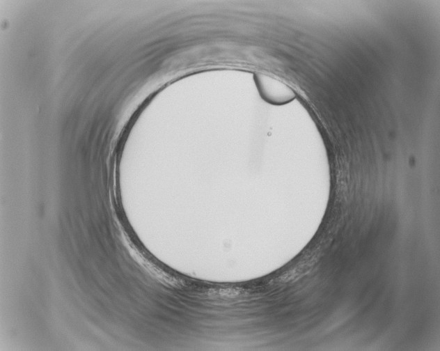 X0000052611515200507292136