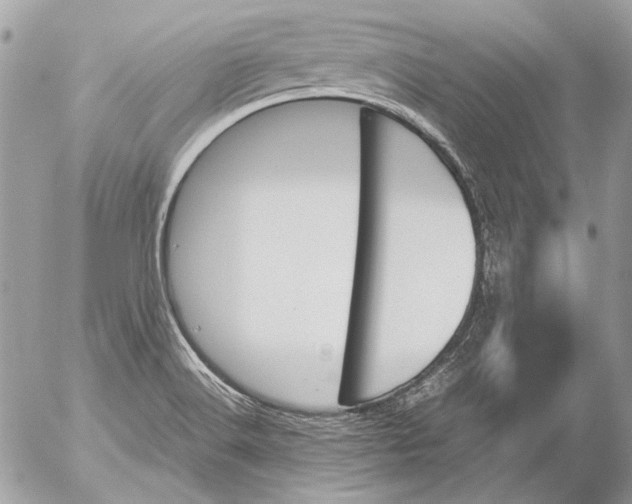 X0000052611516200507292136