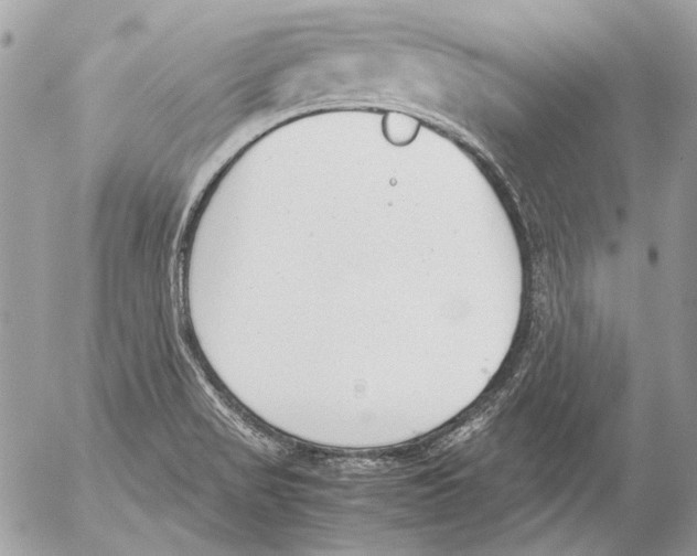 X0000052611517200507292136