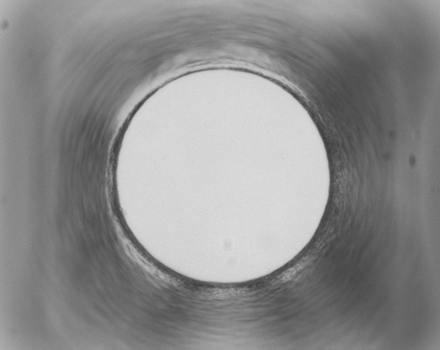 X0000052611518200507292136