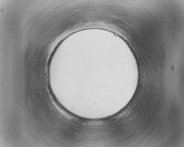 X0000052611519200507292136