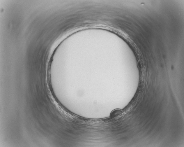 X0000052611520200507292136