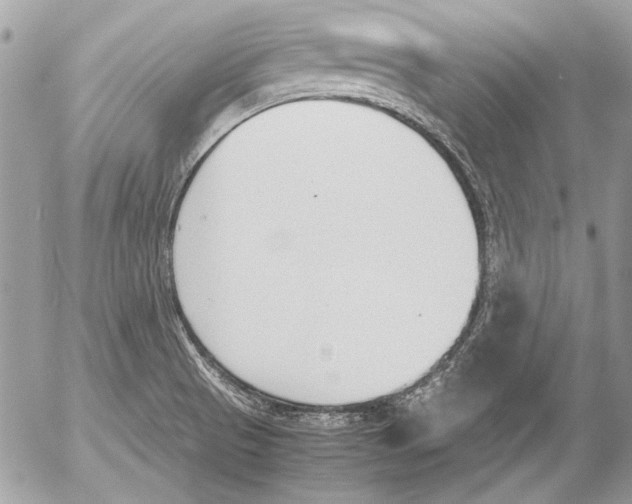 X0000052611521200507292136