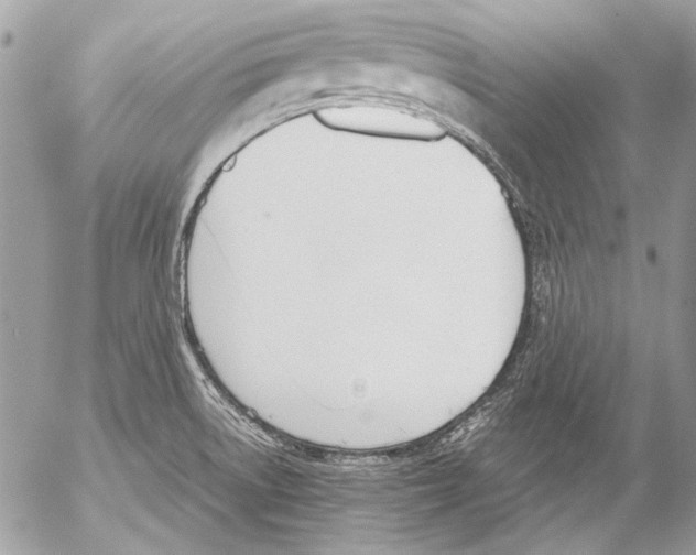 X0000052611522200507292136