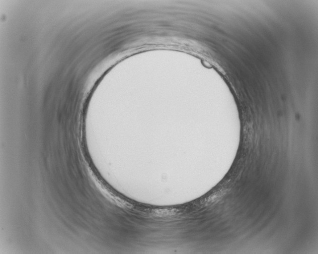 X0000052611523200507292136