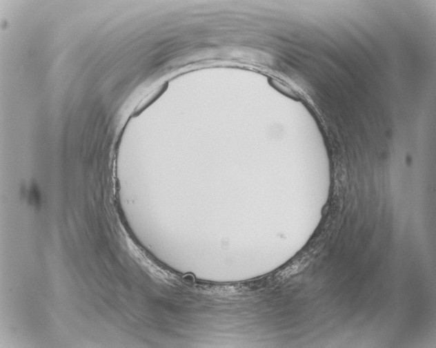 X0000052611524200507292136