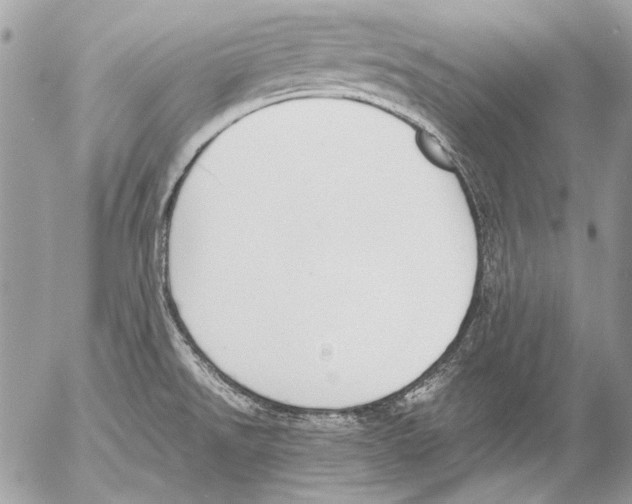 X0000052611526200507292136