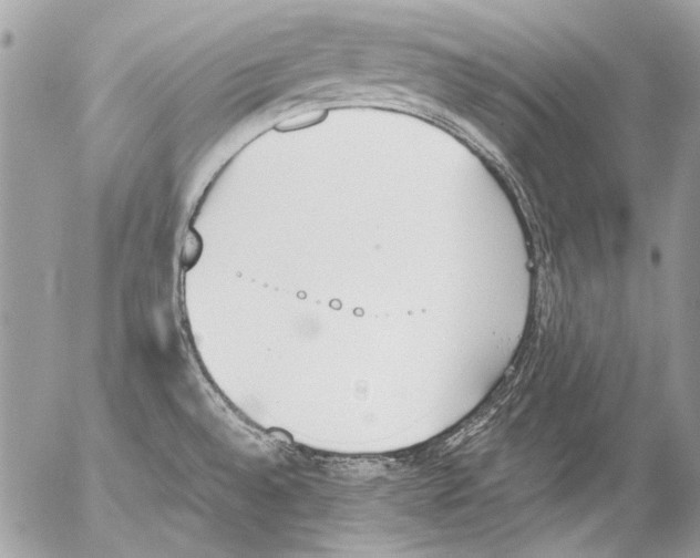 X0000052611528200507292136