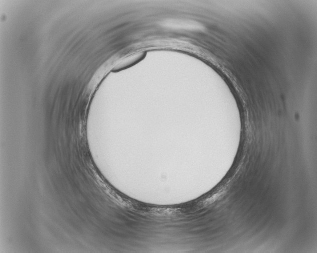 X0000052611529200507292136