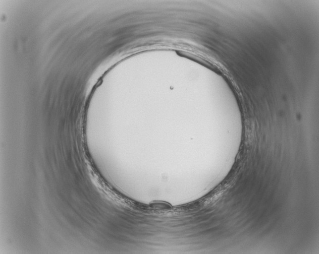 X0000052611530200507292136