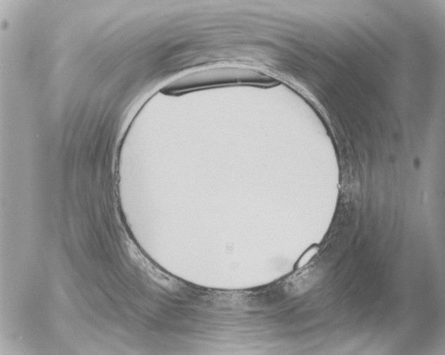 X0000052611532200507292136