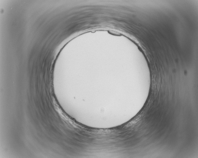 X0000052611534200507292136