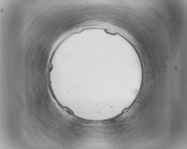 X0000052611536200507292136