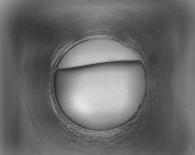 X0000052630001200507011046