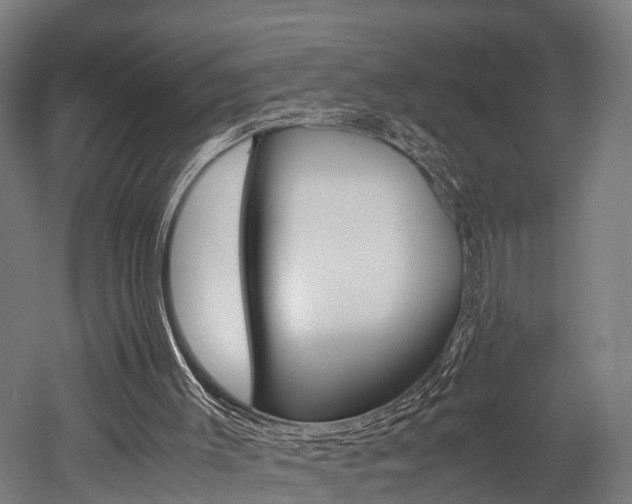 X0000052630003200507011046
