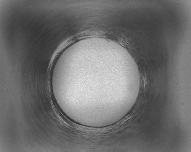 X0000052630004200507011046