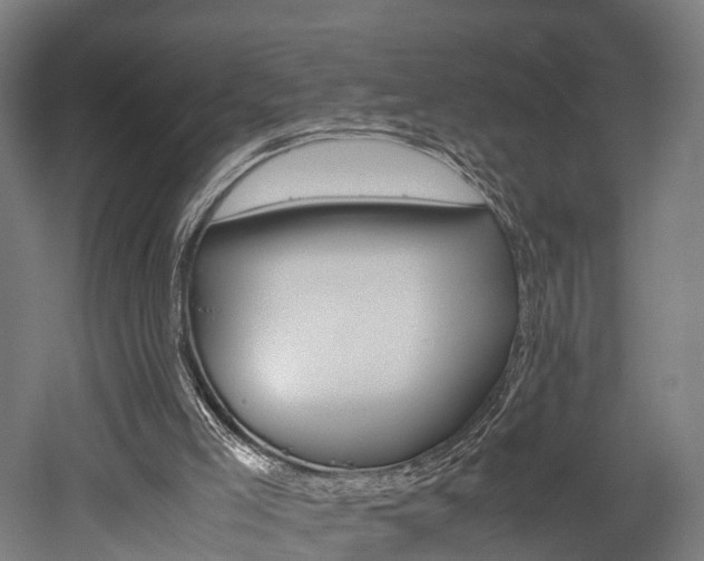 X0000052630005200507011046