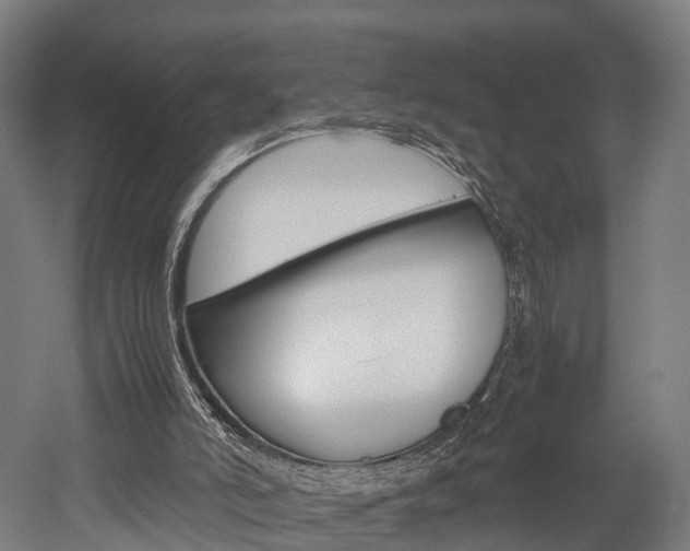 X0000052630006200507011046